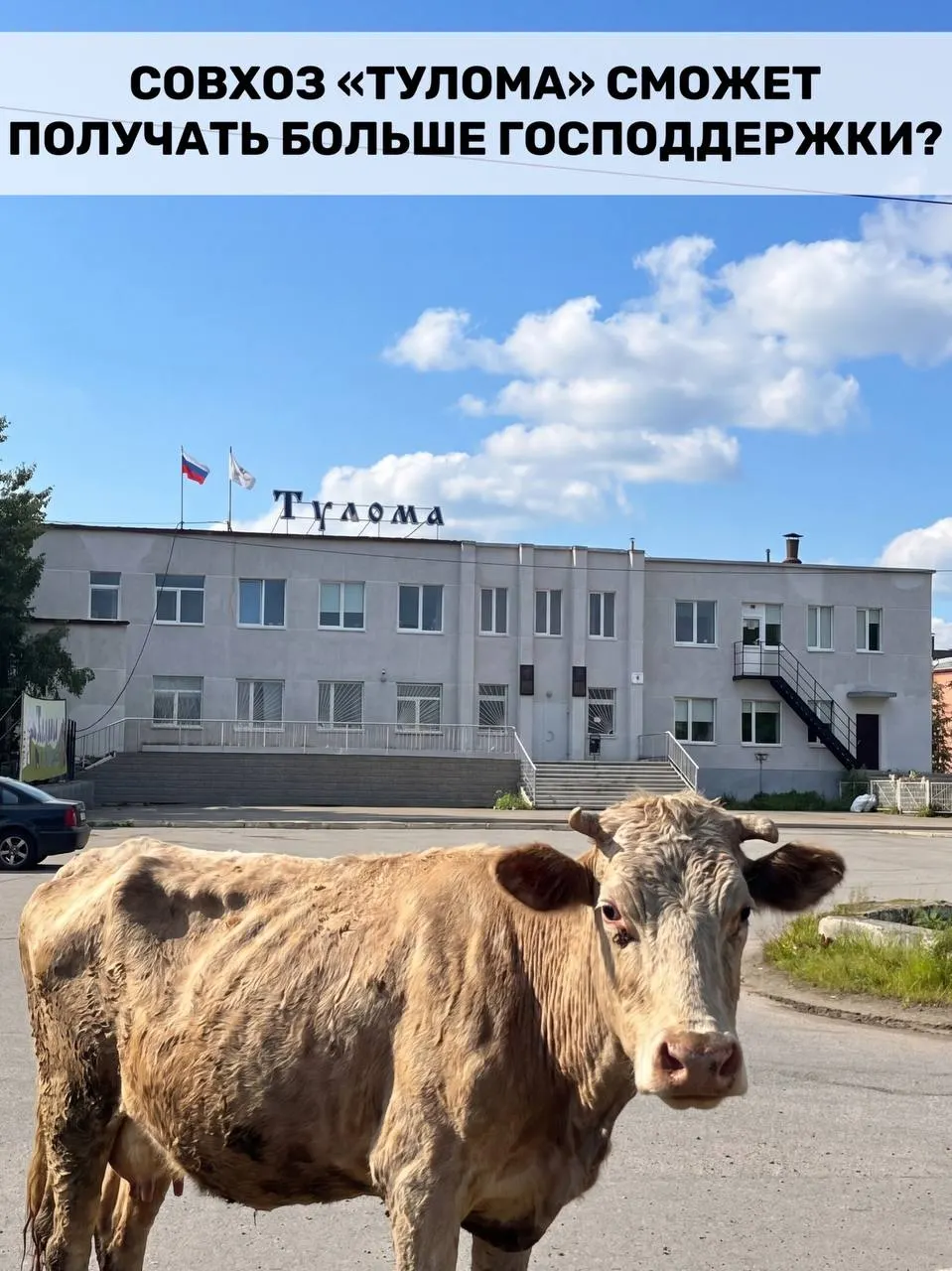 Минсельхоз изменил правила: теперь федеральные субсидии могут получить хозяйства, где более 25% принадлежит государству или муниципалитету. Для Мурманской области это актуально на фоне проблем в отдельных совхозах.