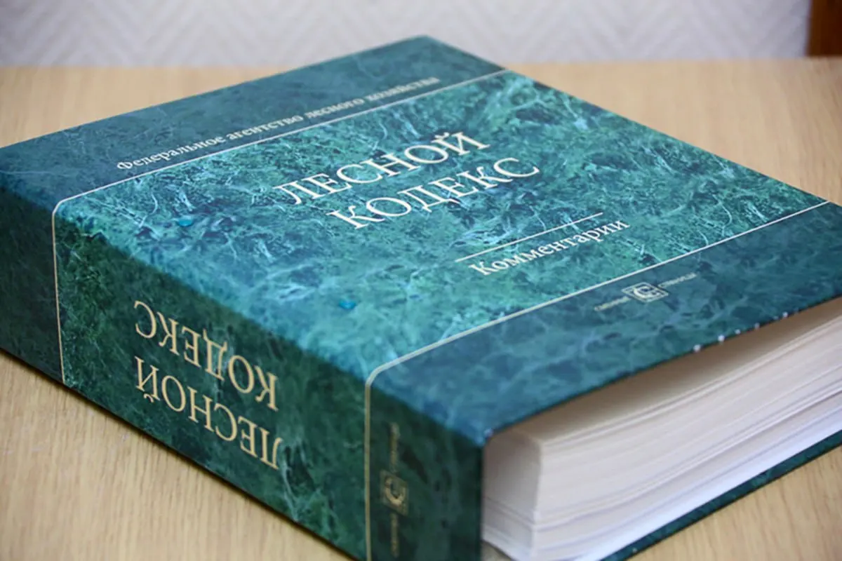 Лесной кодекс, принятый в 2006 году, пережил десятки поправок: внесено 79 пакетов изменений, последний из которых вступает в силу в сентябре. Эксперт по лесному хозяйству считает, что кодекс нужно заменить и кардинально упростить.