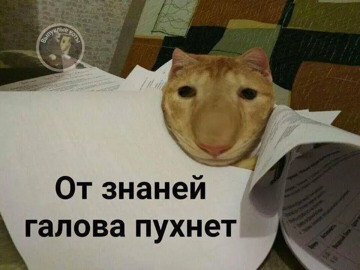 Минспорт предлагает ввести норматив по управлению небольшим дроном в системе ГТО: в этом году — тестовый запуск, со следующего года — повсеместно; значок может дать до 10 баллов к результатам экзамена.