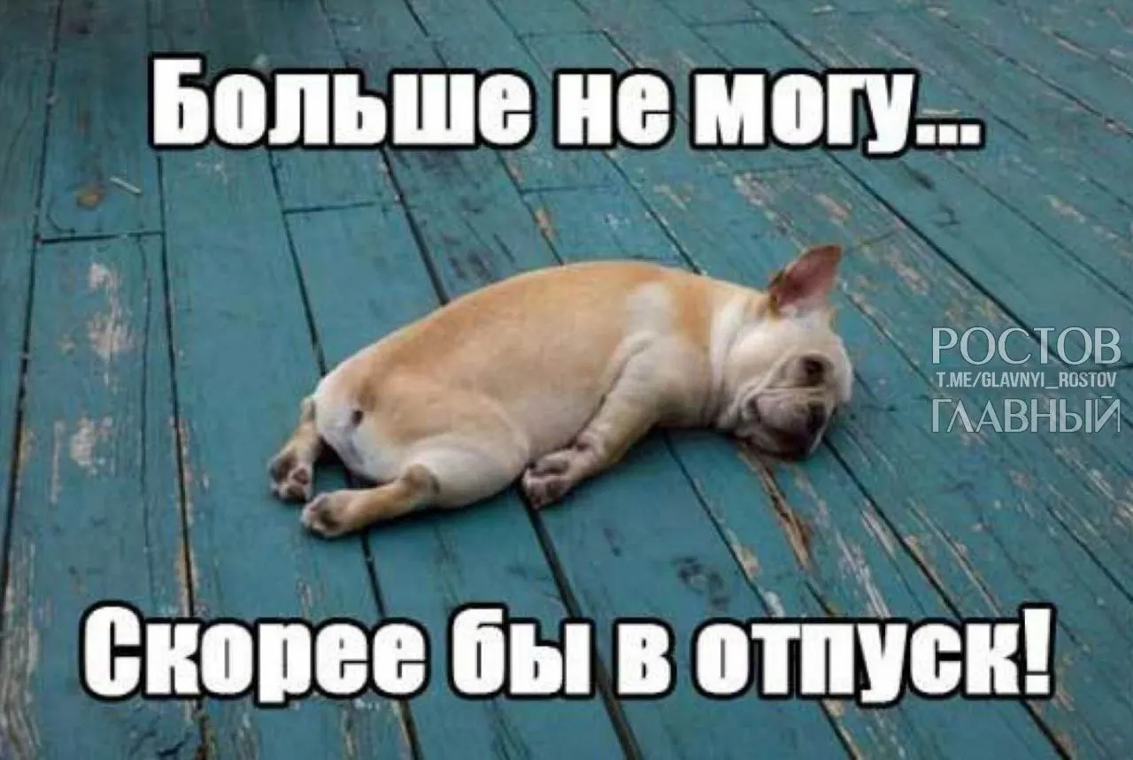 Депутаты предлагают расширить минимальную продолжительность отпуска, чтобы компенсировать включённые в него выходные и помочь гражданам лучше отдыхать, снижая риск профессионального выгорания.