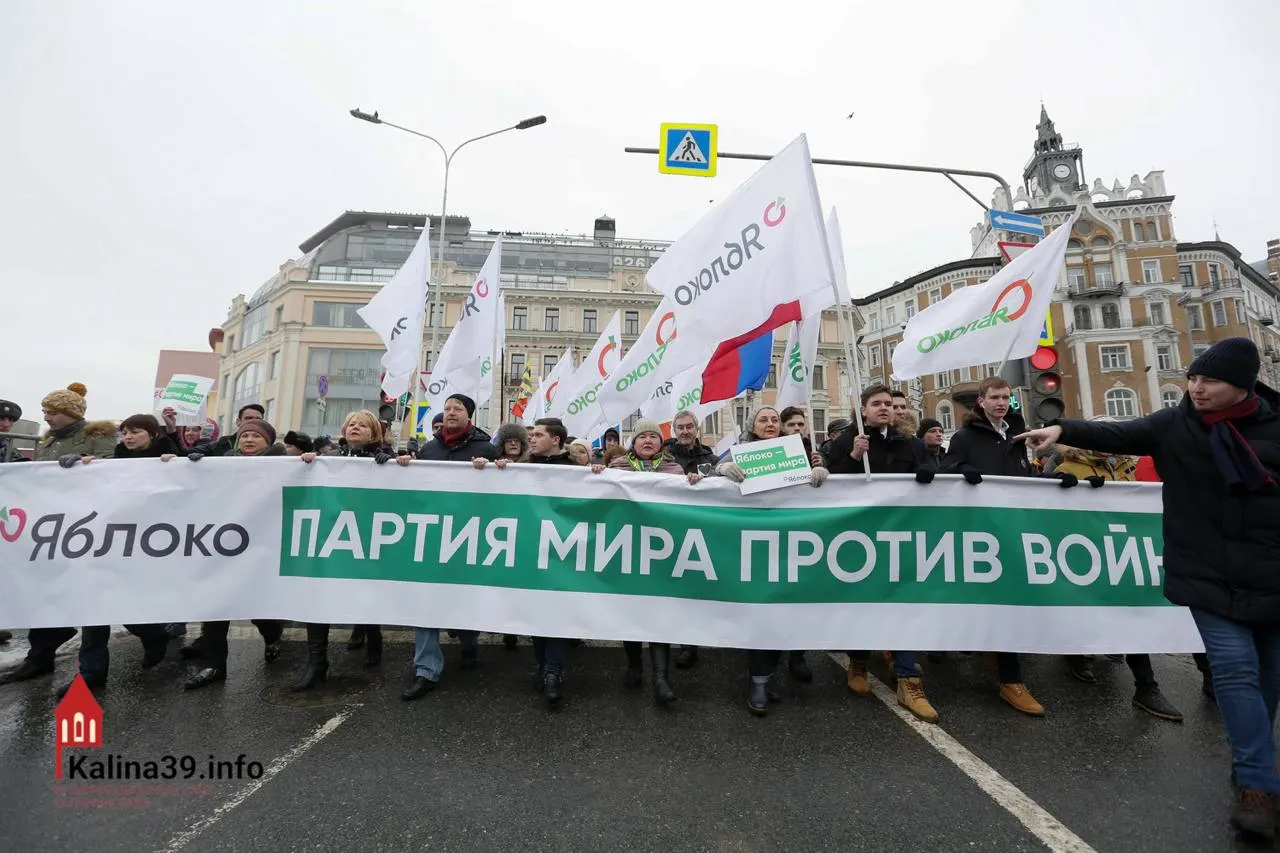 Эксперты считают, что власти могли разрешить зарегистрироваться единственной партии, выступающей против войны, чтобы канализовать протестные настроения в безопасное для системы русло; при этом многие заметные члены партии были лишены возможности баллотироваться.
