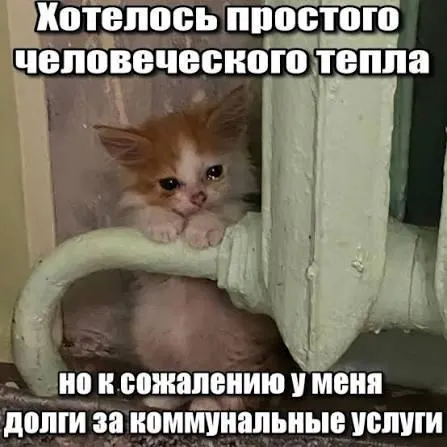 Суд подтвердил, что срок исковой давности в три года препятствует включению в квитанции задолженностей за капремонт старше этого периода; это даёт защиту от принудительного взыскания и важно для покупателей вторичного жилья и наследников.