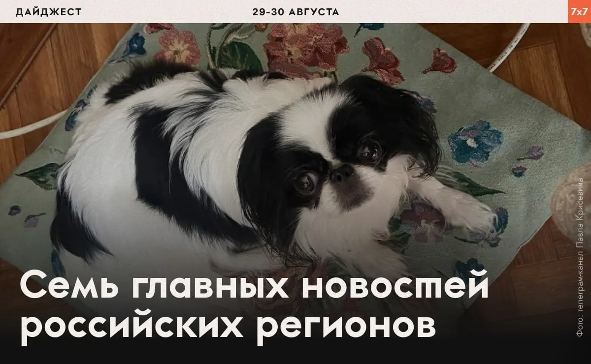 Дайджест фиксирует давление на политических заключённых, контроль над бытовыми деталями и попытки ограничить политическую агитацию по регионам России.