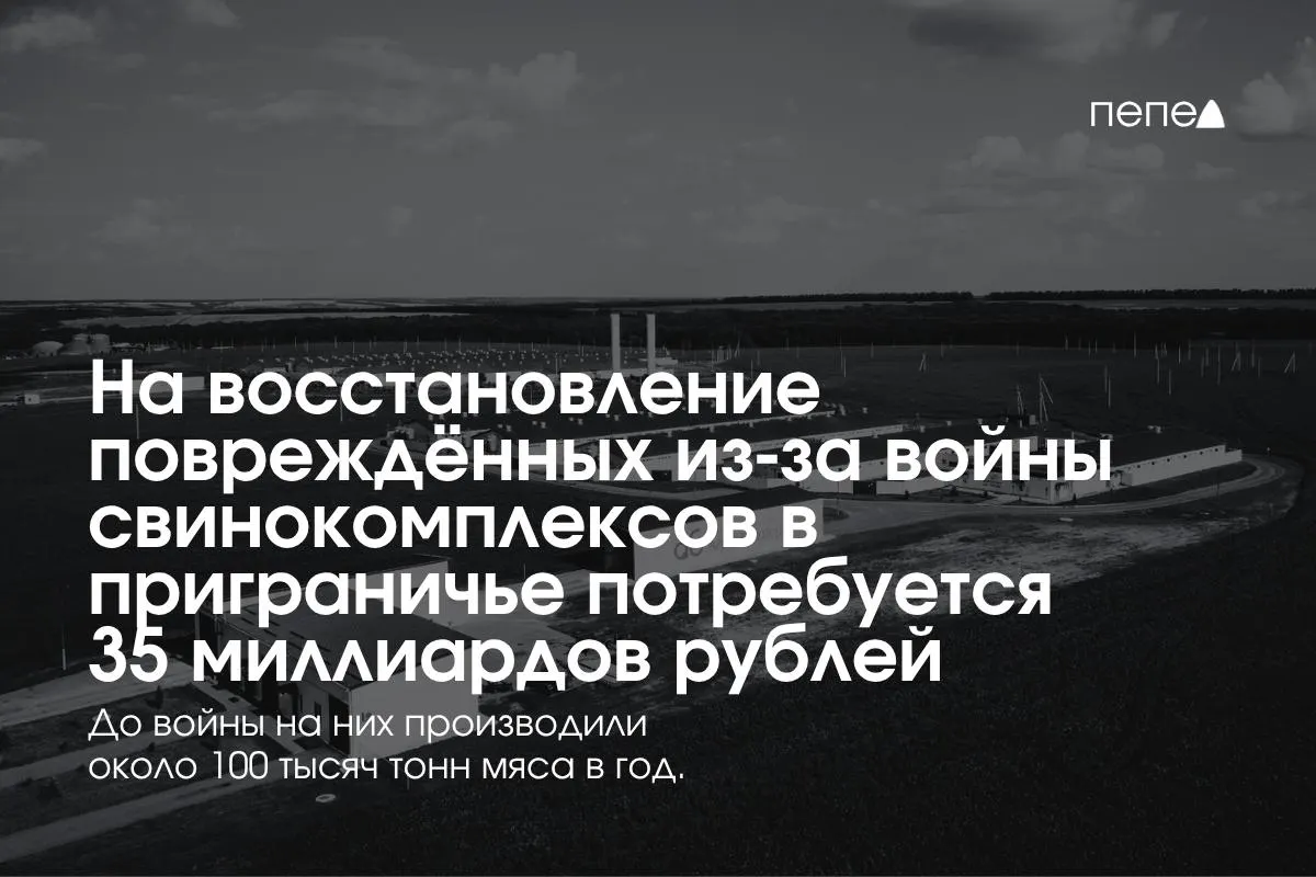 Расходы на восстановление свинокомплексов в Белгородской, Курской и Брянской областях оценивают в 35 млрд рублей; регионы сталкиваются с необходимостью повышения безопасности и инфраструктуры.