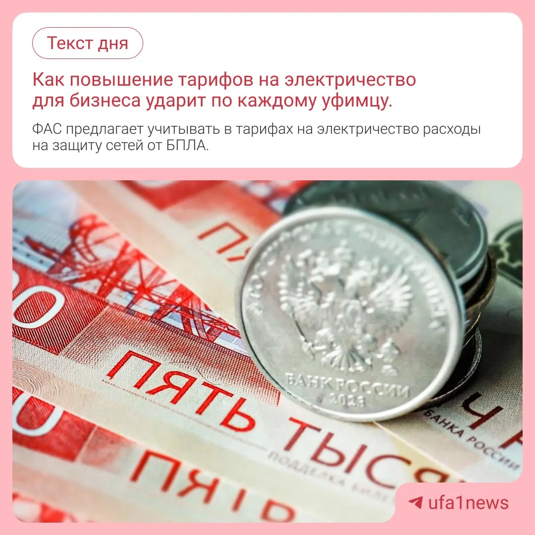 ФАС предложила изменить методику расчета тарифов, чтобы учитывать затраты сетевых компаний на защиту электросетей от дронов; экономист разъясняет связь между защитой сетей и ценами.